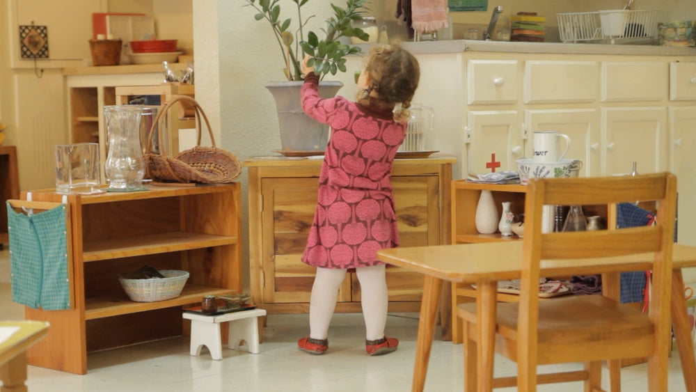 Raising a Responsible Montessori Child