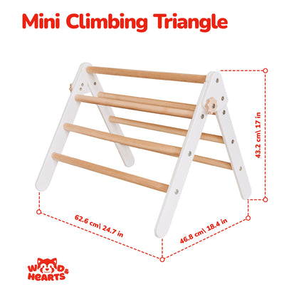 Mini Triangle + Ramp