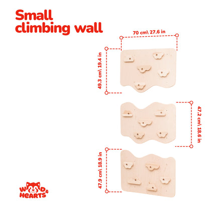 Cloud Panels w/ Climbing Holds