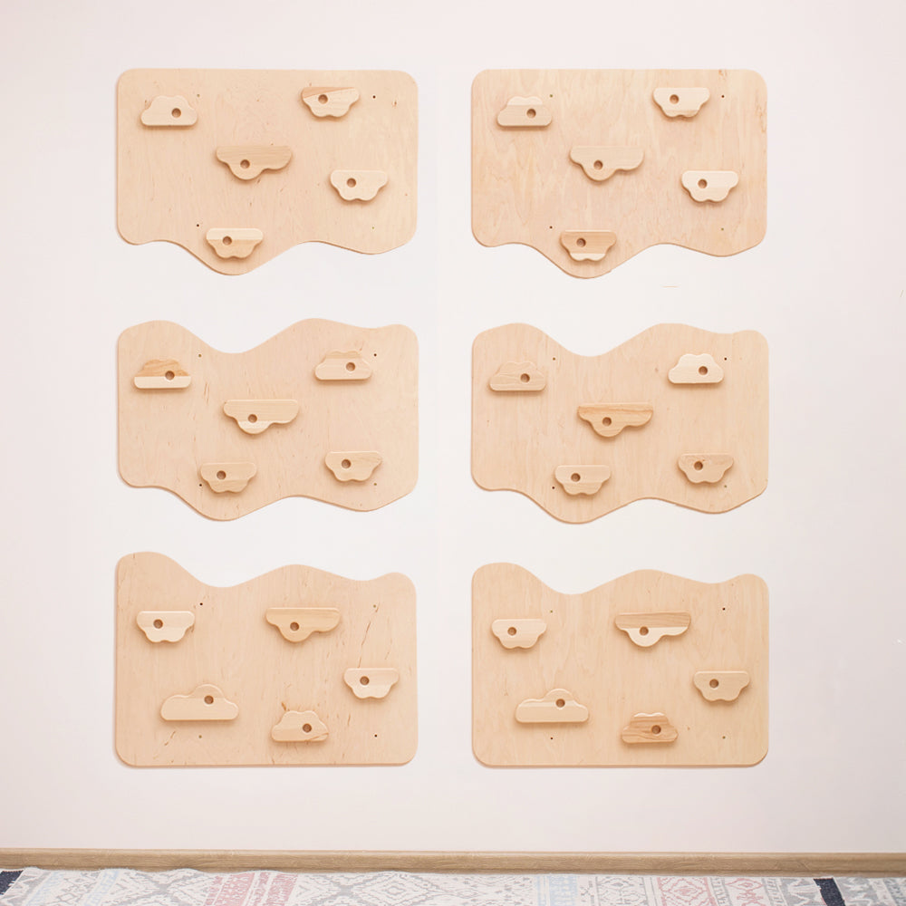Cloud Panels w/ Climbing Holds