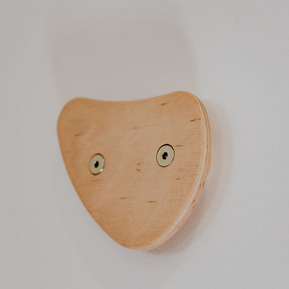 Climbing Holds