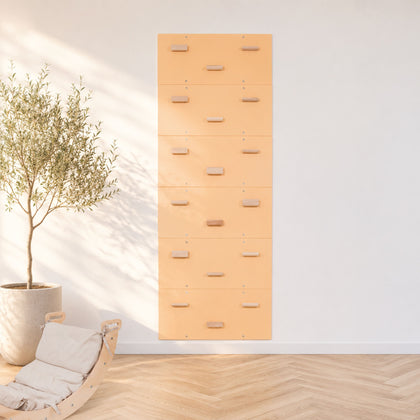 Climbing Panels w/ Bar Holds (6, 12, 18)